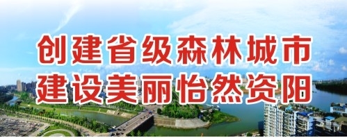 我的穴流了好多水,好想被鸡吧草视频创建省级森林城市 建设美丽怡然资阳