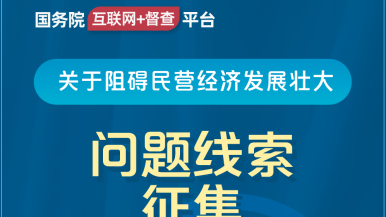 https：／／zk6。top／dwrj／国务院“互联网+督查”平台公开征集阻碍民营经济发展壮大问题线索